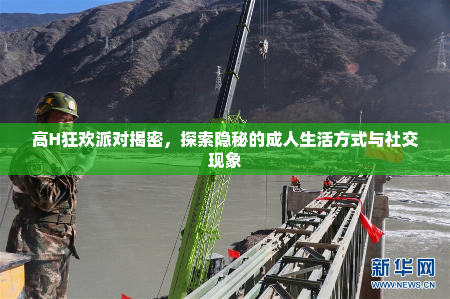 高H狂欢派对揭密，探索隐秘的成人生活方式与社交现象