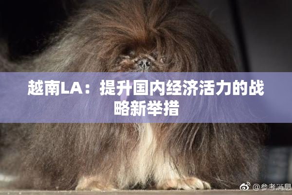 越南LA：提升国内经济活力的战略新举措