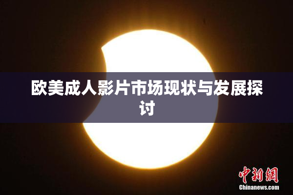 欧美成人影片市场现状与发展探讨