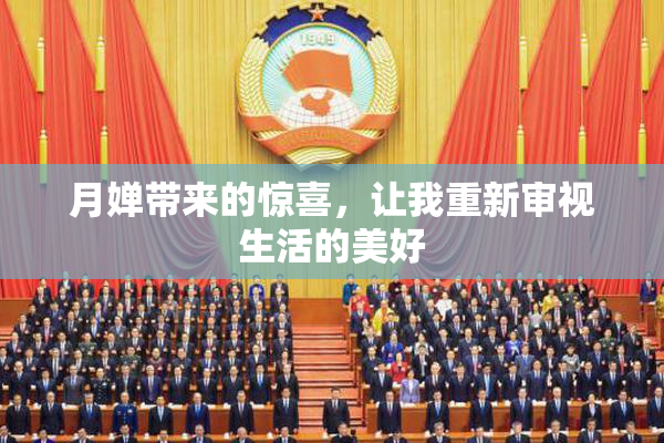 月婵带来的惊喜，让我重新审视生活的美好