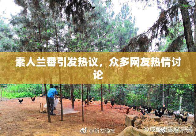 素人兰番引发热议，众多网友热情讨论