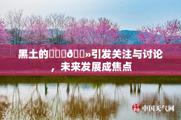 黑土的❌‌‌🐻引发关注与讨论，未来发展成焦点