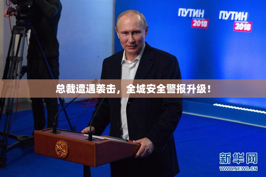 总裁遭遇袭击，全城安全警报升级！