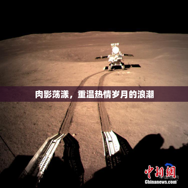 肉影荡漾，重温热情岁月的浪潮