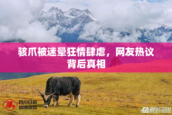骇爪被迷晕狂情肆虐，网友热议背后真相