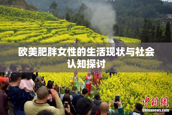 欧美肥胖女性的生活现状与社会认知探讨