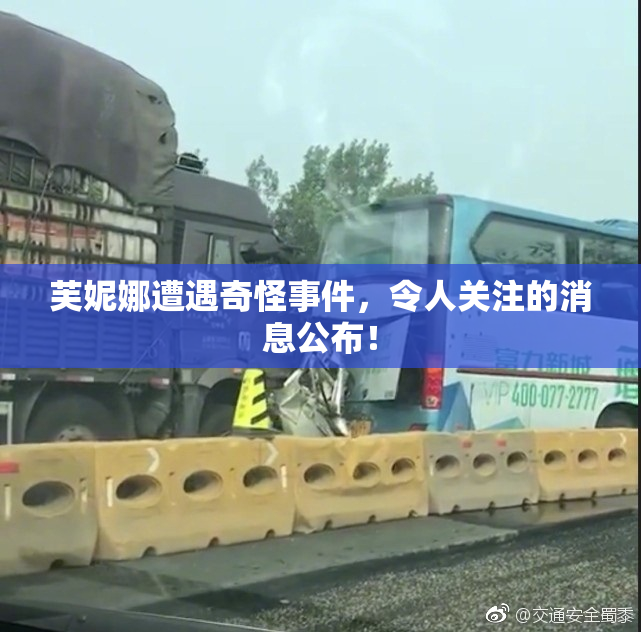 芙妮娜遭遇奇怪事件，令人关注的消息公布！