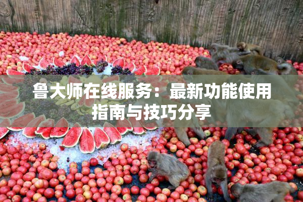 鲁大师在线服务：最新功能使用指南与技巧分享