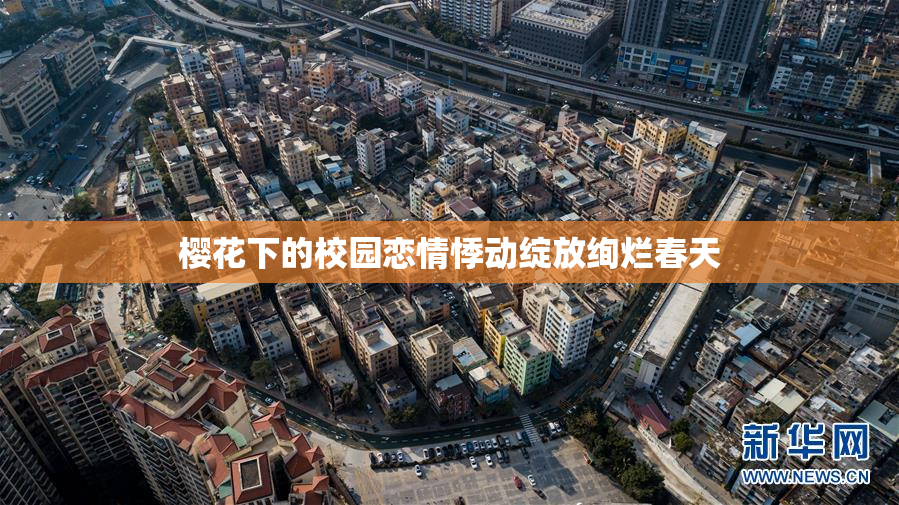 樱花下的校园恋情悸动绽放绚烂春天