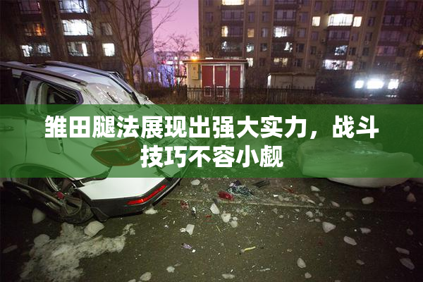 雏田腿法展现出强大实力，战斗技巧不容小觑