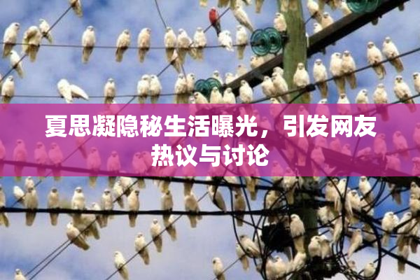 夏思凝隐秘生活曝光，引发网友热议与讨论