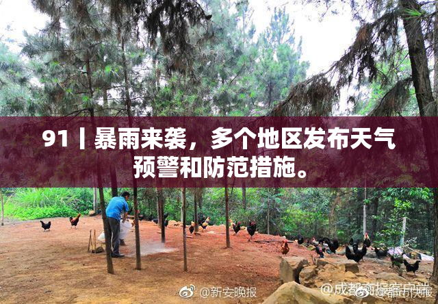 91丨暴雨来袭，多个地区发布天气预警和防范措施。
