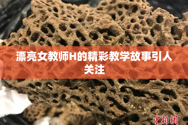 漂亮女教师H的精彩教学故事引人关注
