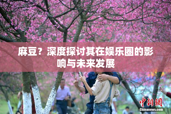 麻豆？深度探讨其在娱乐圈的影响与未来发展