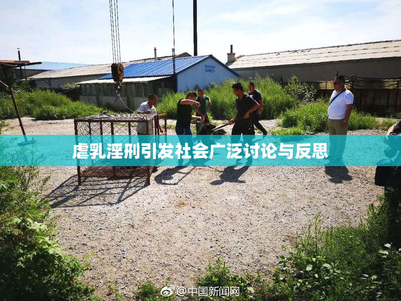 虐乳淫刑引发社会广泛讨论与反思