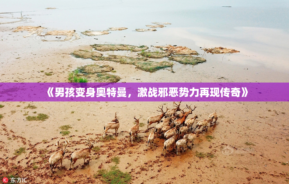 《男孩变身奥特曼，激战邪恶势力再现传奇》