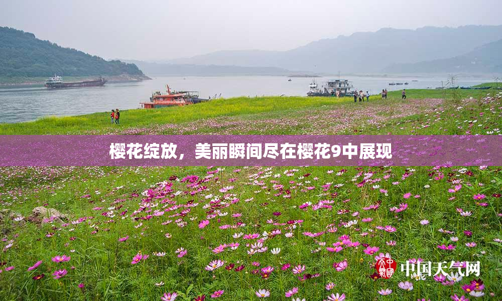 樱花绽放，美丽瞬间尽在樱花9中展现