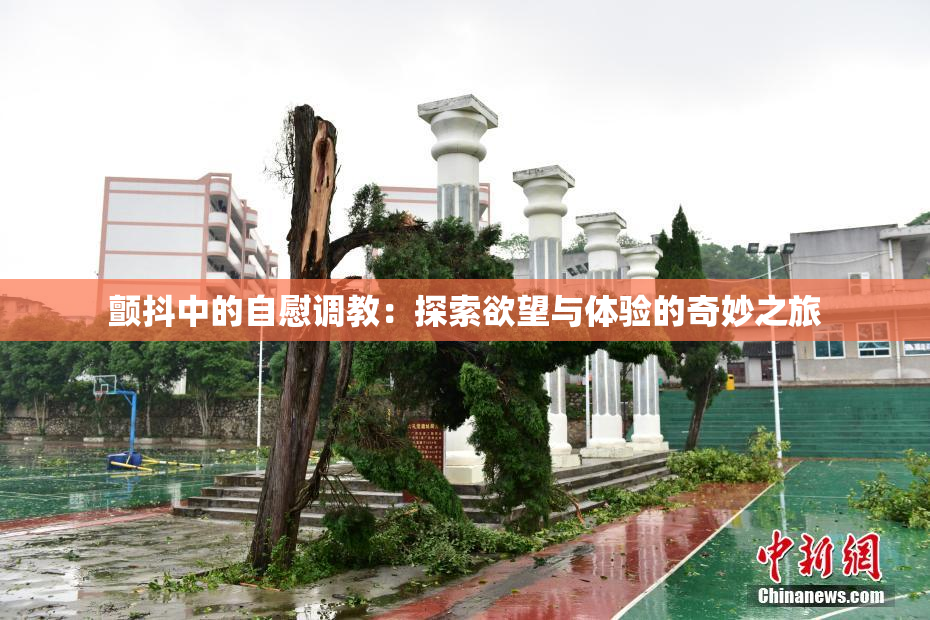 颤抖中的自慰调教：探索欲望与体验的奇妙之旅