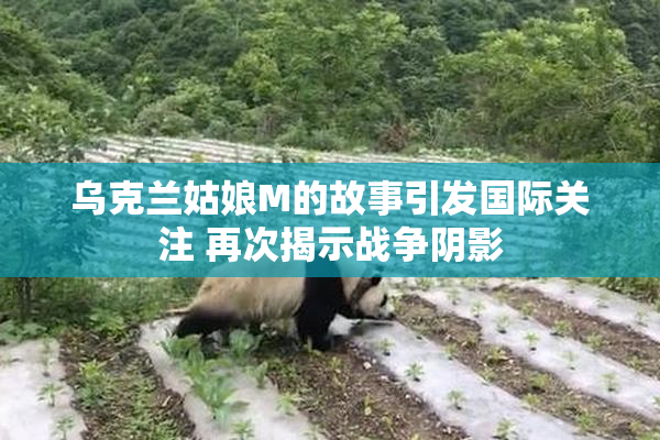 乌克兰姑娘M的故事引发国际关注 再次揭示战争阴影