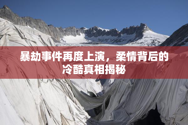 暴劫事件再度上演，柔情背后的冷酷真相揭秘