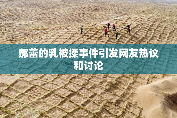 郝蕾的乳被揉事件引发网友热议和讨论