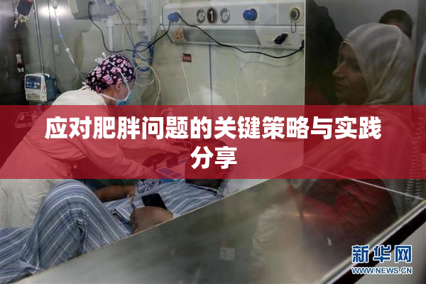应对肥胖问题的关键策略与实践分享