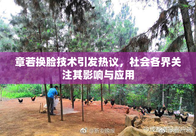章若换脸技术引发热议，社会各界关注其影响与应用