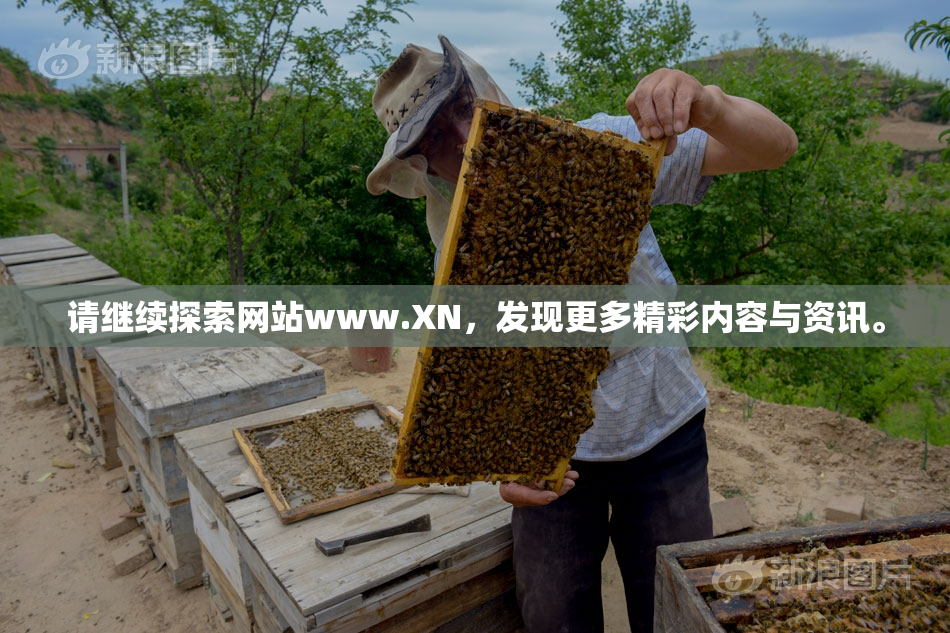 请继续探索网站www.XN，发现更多精彩内容与资讯。