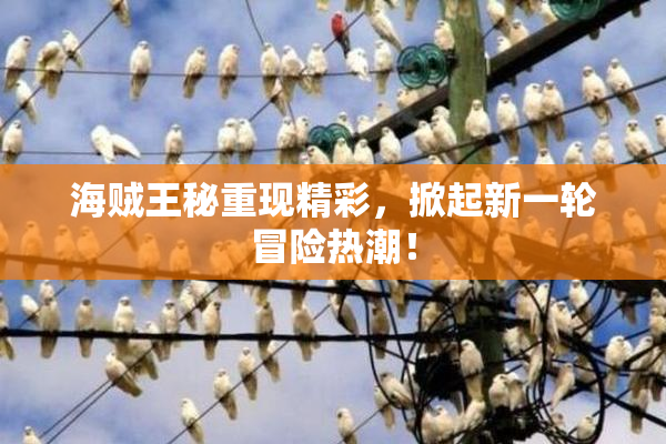 海贼王秘重现精彩，掀起新一轮冒险热潮！
