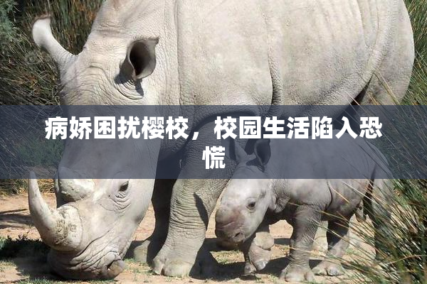 病娇困扰樱校，校园生活陷入恐慌