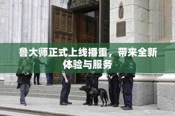 鲁大师正式上线播重，带来全新体验与服务