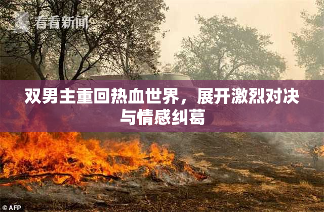 双男主重回热血世界，展开激烈对决与情感纠葛