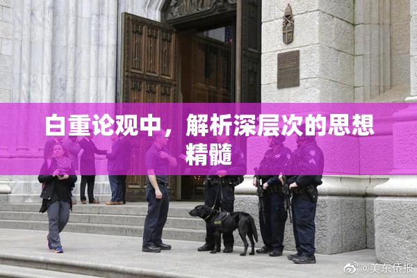 白重论观中，解析深层次的思想精髓