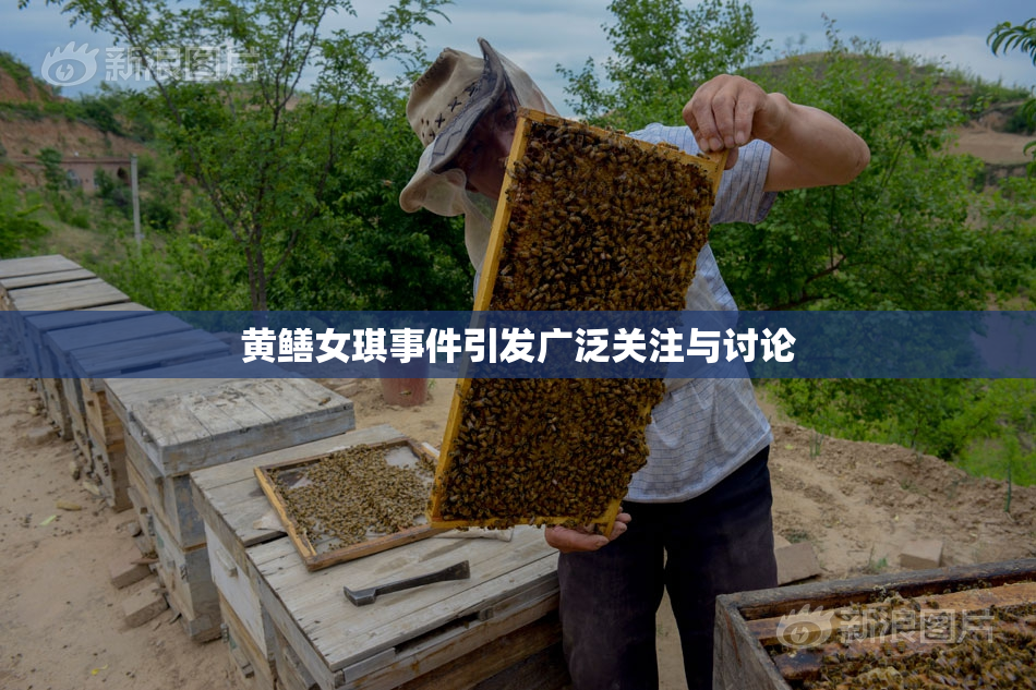 黄鳝女琪事件引发广泛关注与讨论