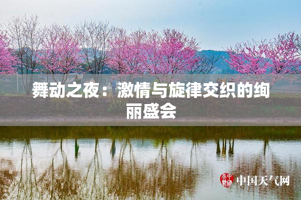 舞动之夜：激情与旋律交织的绚丽盛会