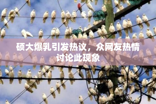 硕大爆乳引发热议，众网友热情讨论此现象