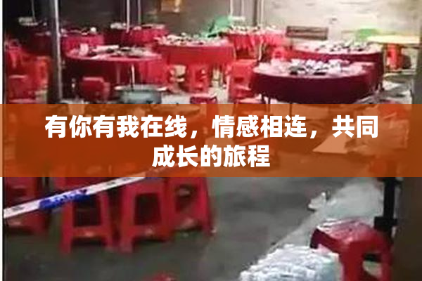 有你有我在线，情感相连，共同成长的旅程