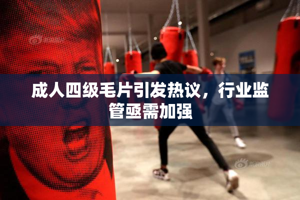 成人四级毛片引发热议，行业监管亟需加强