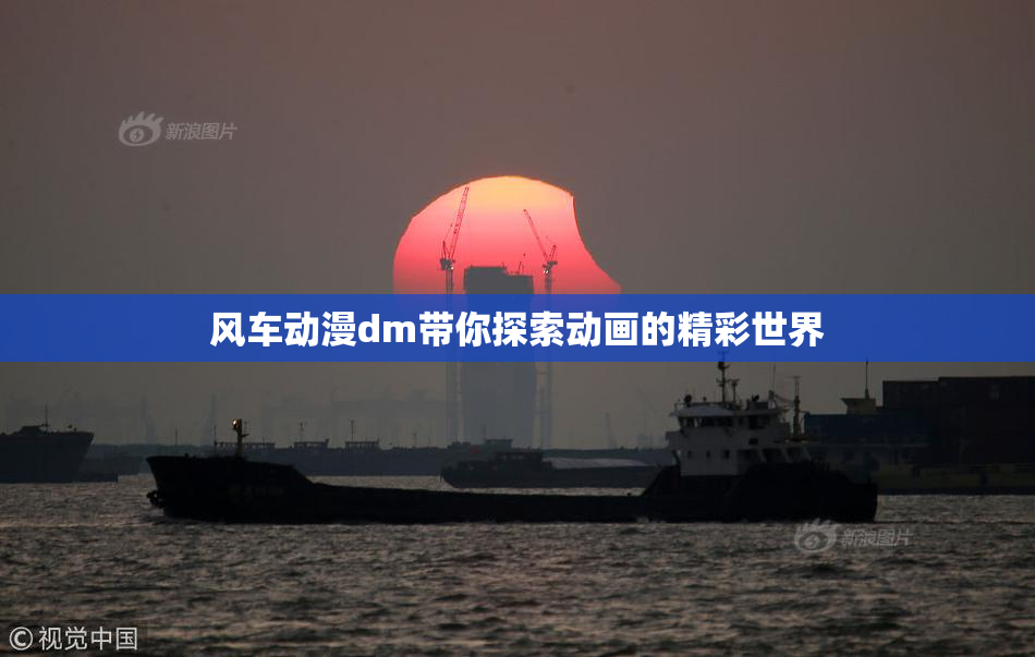 风车动漫dm带你探索动画的精彩世界