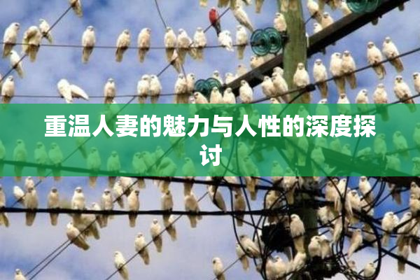 重温人妻的魅力与人性的深度探讨