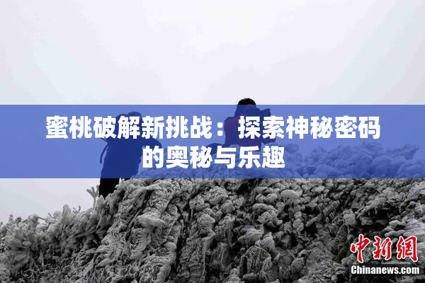 蜜桃破解新挑战：探索神秘密码的奥秘与乐趣