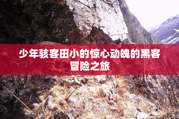 少年骇客田小的惊心动魄的黑客冒险之旅