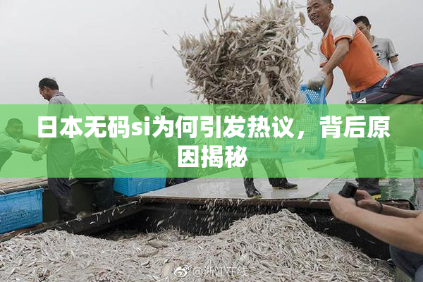 日本无码si为何引发热议，背后原因揭秘