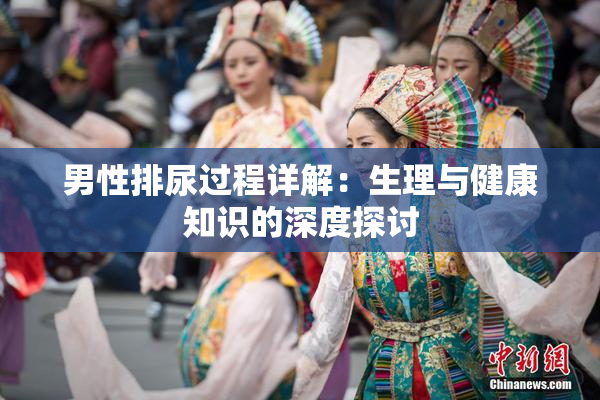 男性排尿过程详解：生理与健康知识的深度探讨
