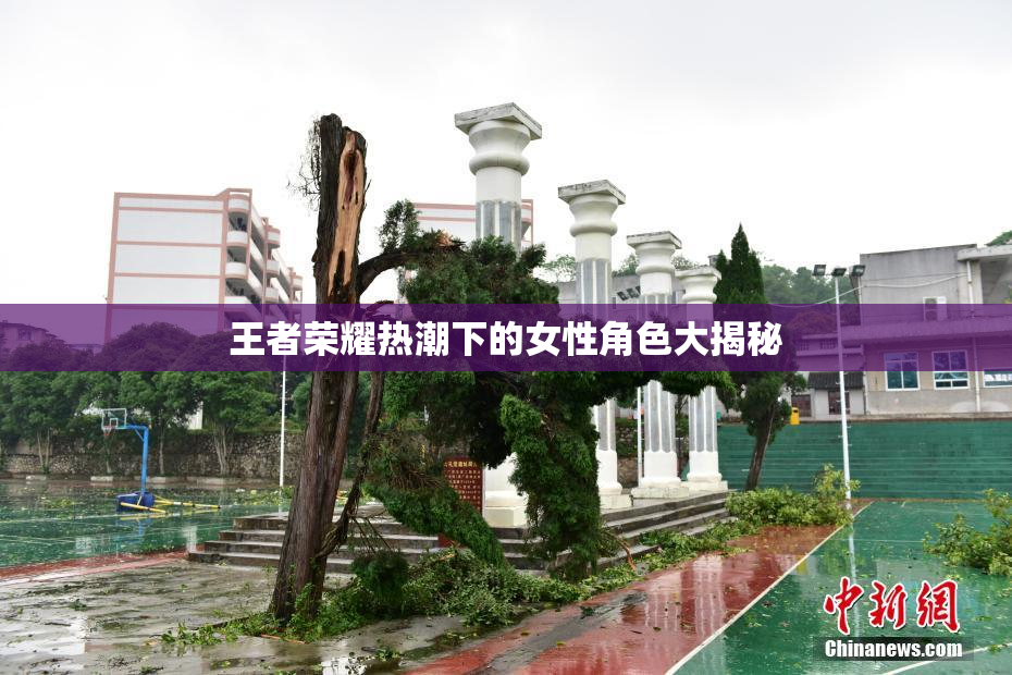 王者荣耀热潮下的女性角色大揭秘