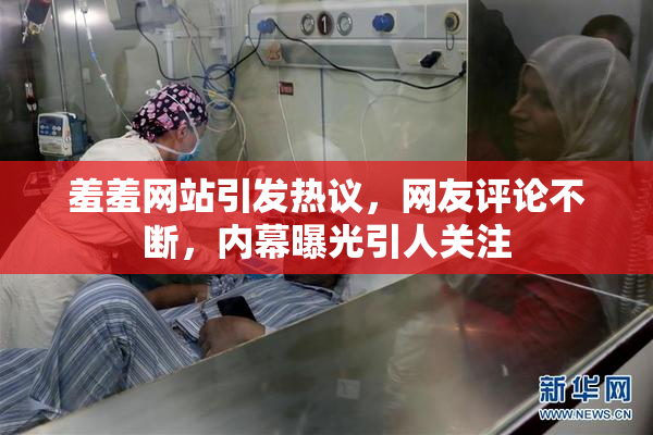 羞羞网站引发热议，网友评论不断，内幕曝光引人关注