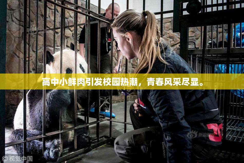 高中小鲜肉引发校园热潮，青春风采尽显。