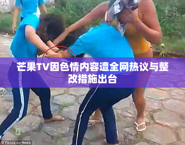 芒果TV因色情内容遭全网热议与整改措施出台