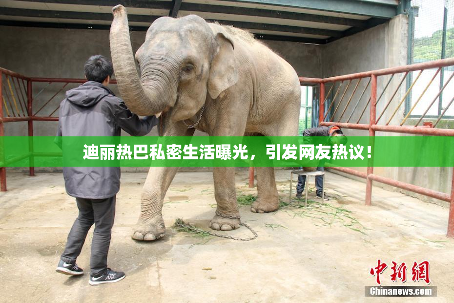 迪丽热巴私密生活曝光，引发网友热议！