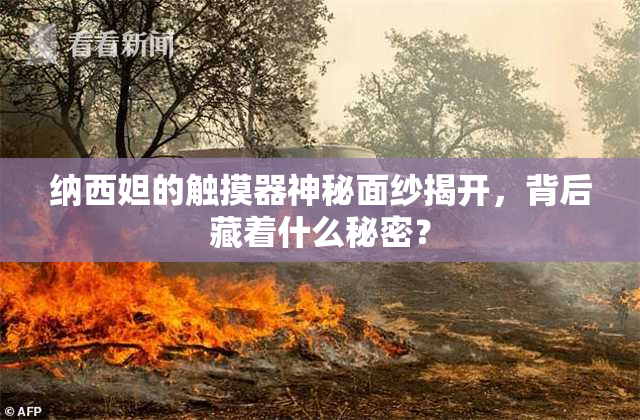 纳西妲的触摸器神秘面纱揭开，背后藏着什么秘密？